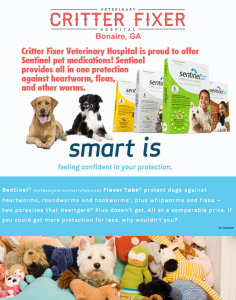 Sentinel Pet Now Offering Sentinel | Critter Fixer Veterinary Hospital